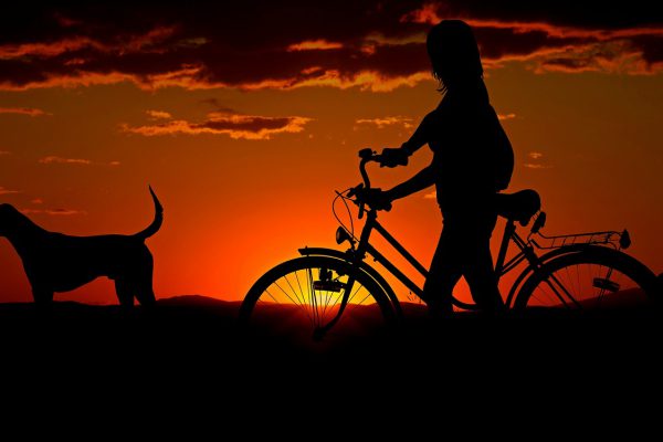 Nederland is een fietsland